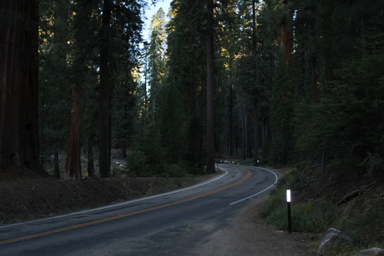 Sequoia National Park