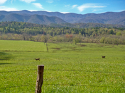 Great Smoky Mountains National Park