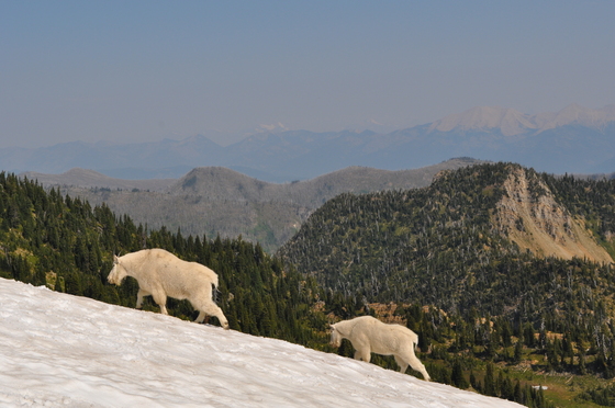 Jewel Basin