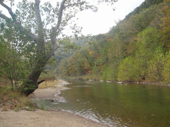 Big Bend Campground