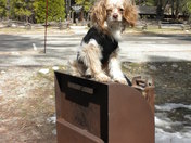 Yosemite National Park