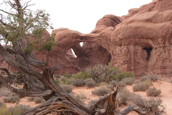Arches