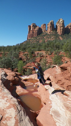 Coconino National Forest