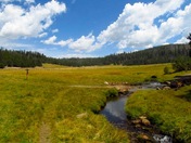 Golden Trout Wilderness