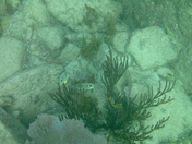 Virgin Islands National Park