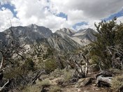 Inyo National Forrest / John Muir Wilderness