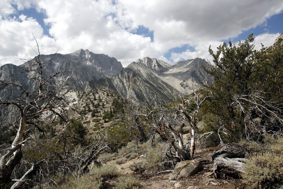 Inyo National Forrest / John Muir Wilderness