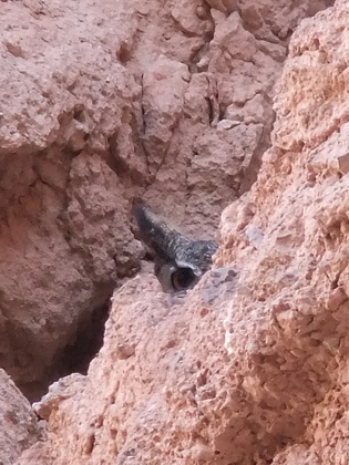 Lake Mead NRA