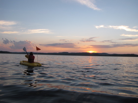 BWCA