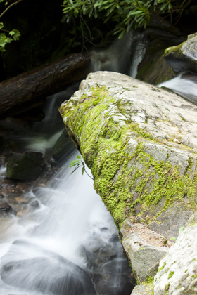 Great Smokey Mountain National Park