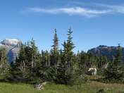 Glacier National Park