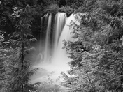 Willamette National Forest