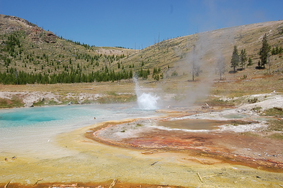 Yellowstone