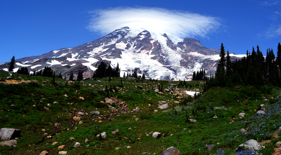 mt rainier