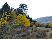 Rocky Mountain National Park