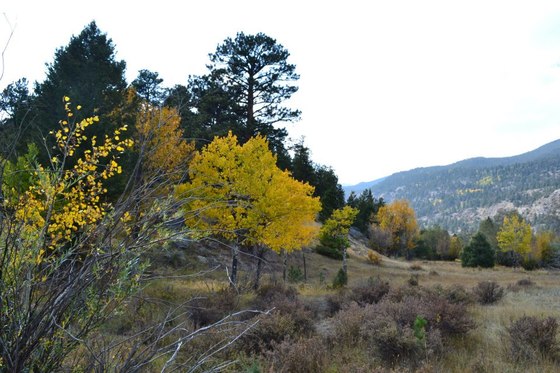 Rocky Mountain National Park