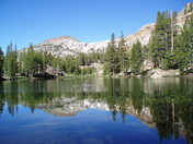 Inyo National Forest