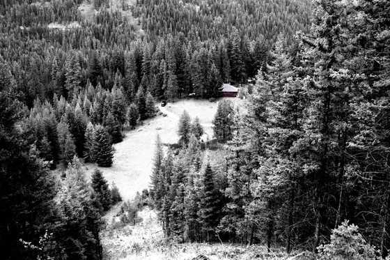 Wenatchee National Forest