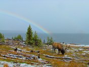 Yellowstone National Park
