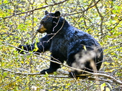 Grand Teton National Park