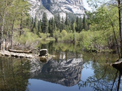 Yosemite National Park
