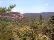 Daniel Boone National Forest