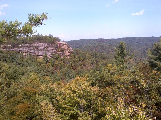 Daniel Boone National Forest