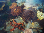 Glacier Bay National Park