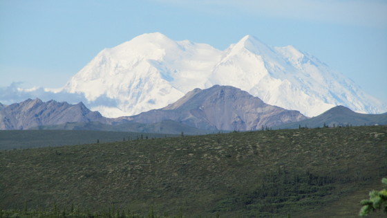 Denali National Park