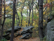 Allegheny National Forest