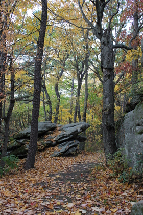 Allegheny National Forest