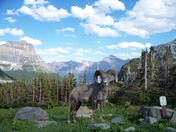 Glacier National Park
