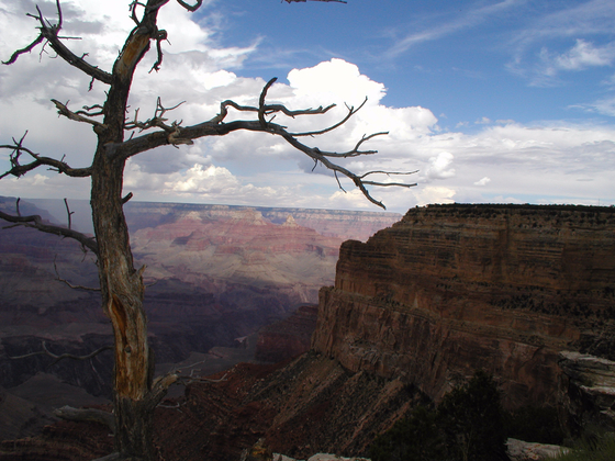 Grand Canyon