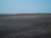 Quivira National Wildlife Refuge