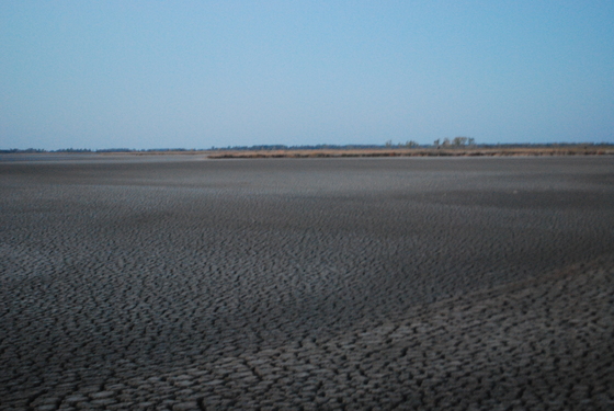 Quivira National Wildlife Refuge