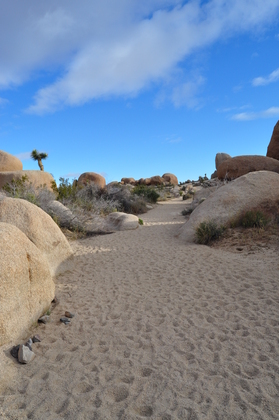 Joshua Tree National Park