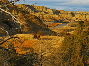 Theodore Roosevelt National Park