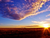 Petrified Forest National Park
