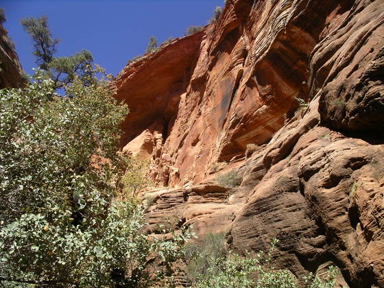 ZIONS PARK