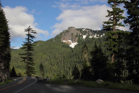 Mt. Rainier National Park