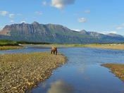 Katmai National Park
