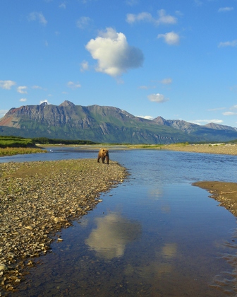 Katmai National Park