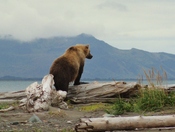 Katmai National Park