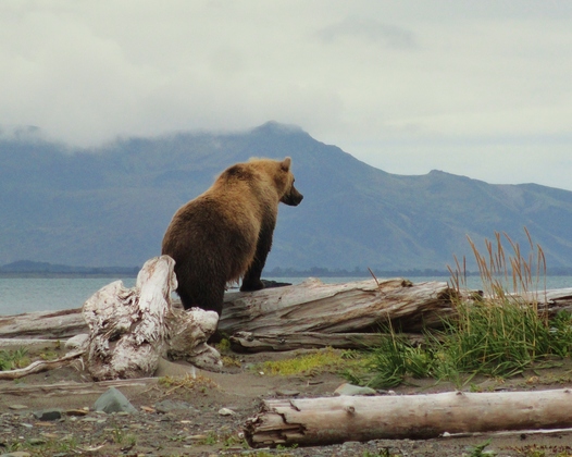Katmai National Park