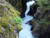 glacier national park
