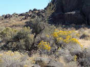 Bureau of Land Management 