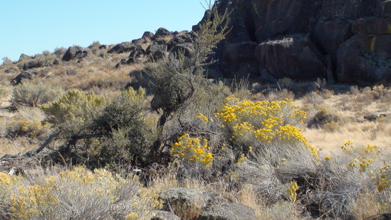 Bureau of Land Management 