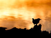 Brainard Lake Recreation Area