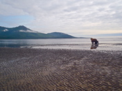 Katmai National Park and Preserve