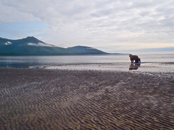 Katmai National Park and Preserve